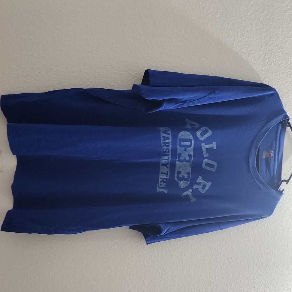 Polo Ralph Lauren Blue Graphic Tee